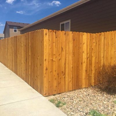 Fence Painting After